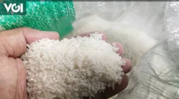 إندونيسيا تستورد 40,700 طن أرز خلال أكتوبر 2025 وفق بيانات BPS